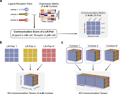 4dtensor