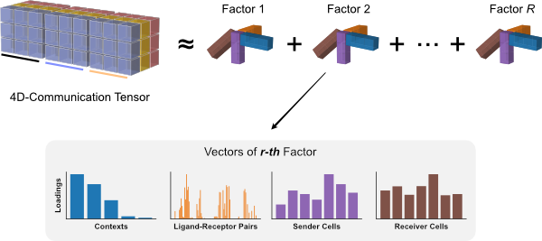tensor-fact